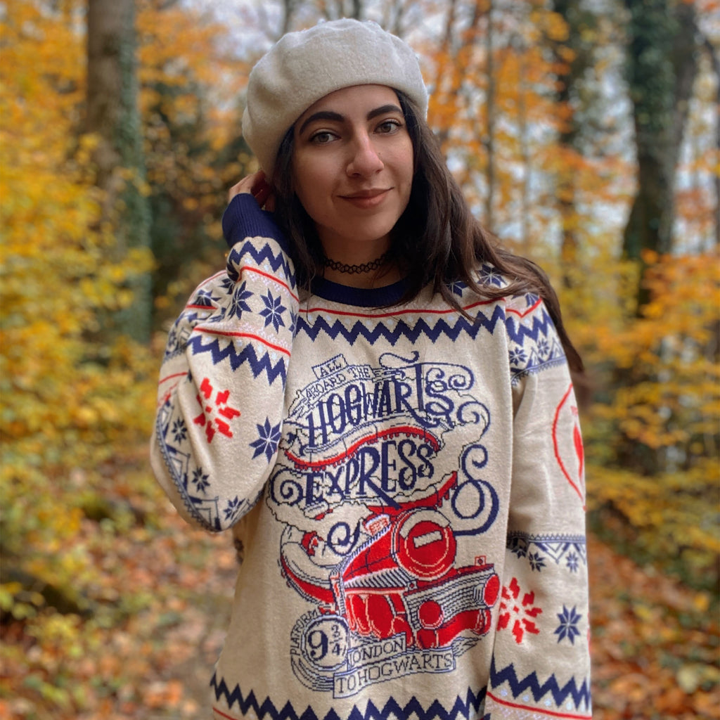 Image produit Harry Potter - Pull tricoté Hogwarts Express