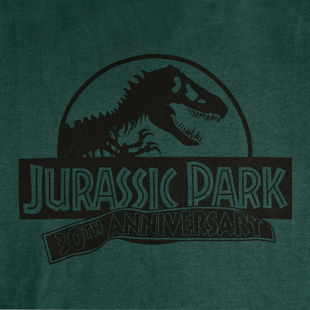 Image produit Jurassic Park - Sweat à capuche Isla Nublar vert