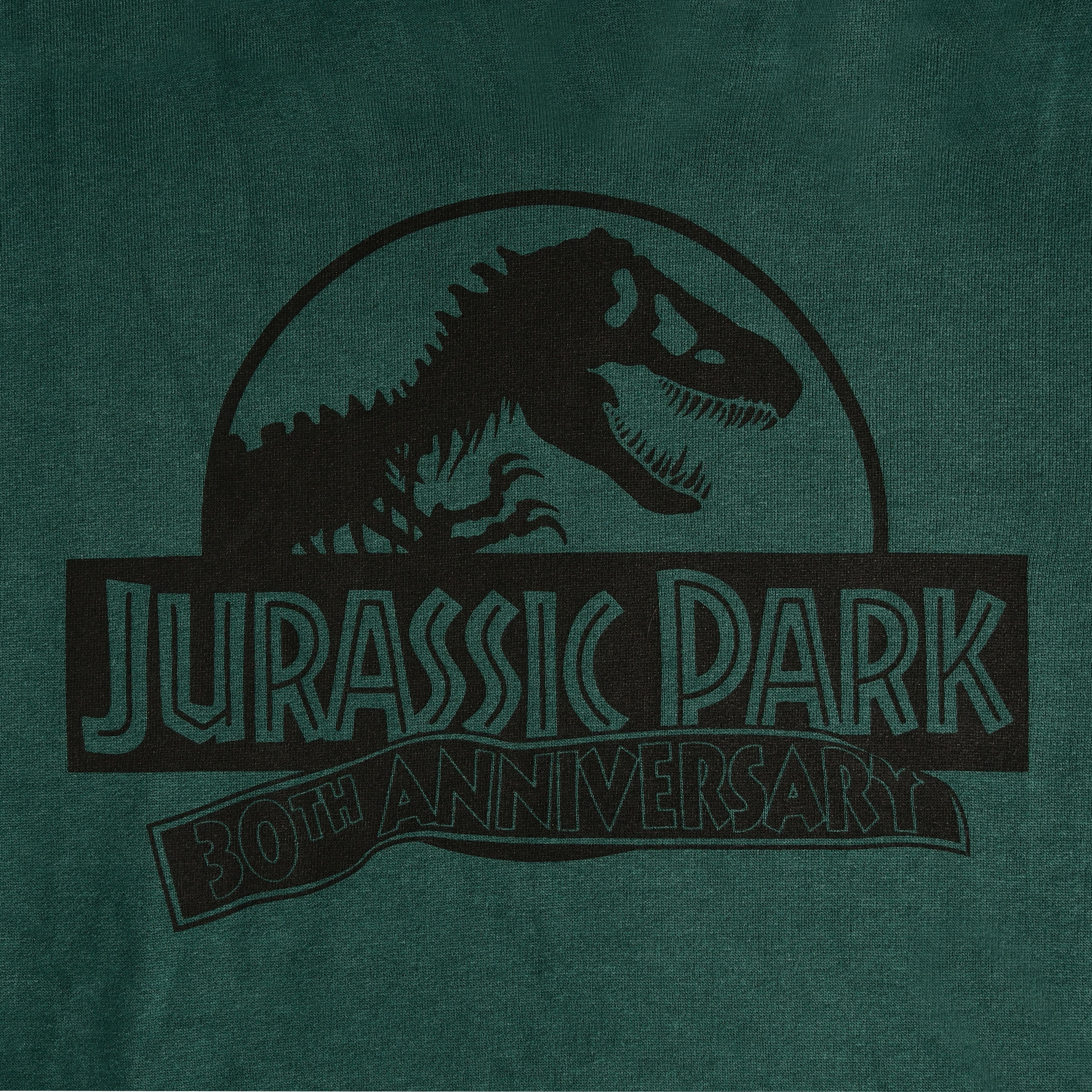 Image produit Jurassic Park - Sweat à capuche Isla Nublar vert