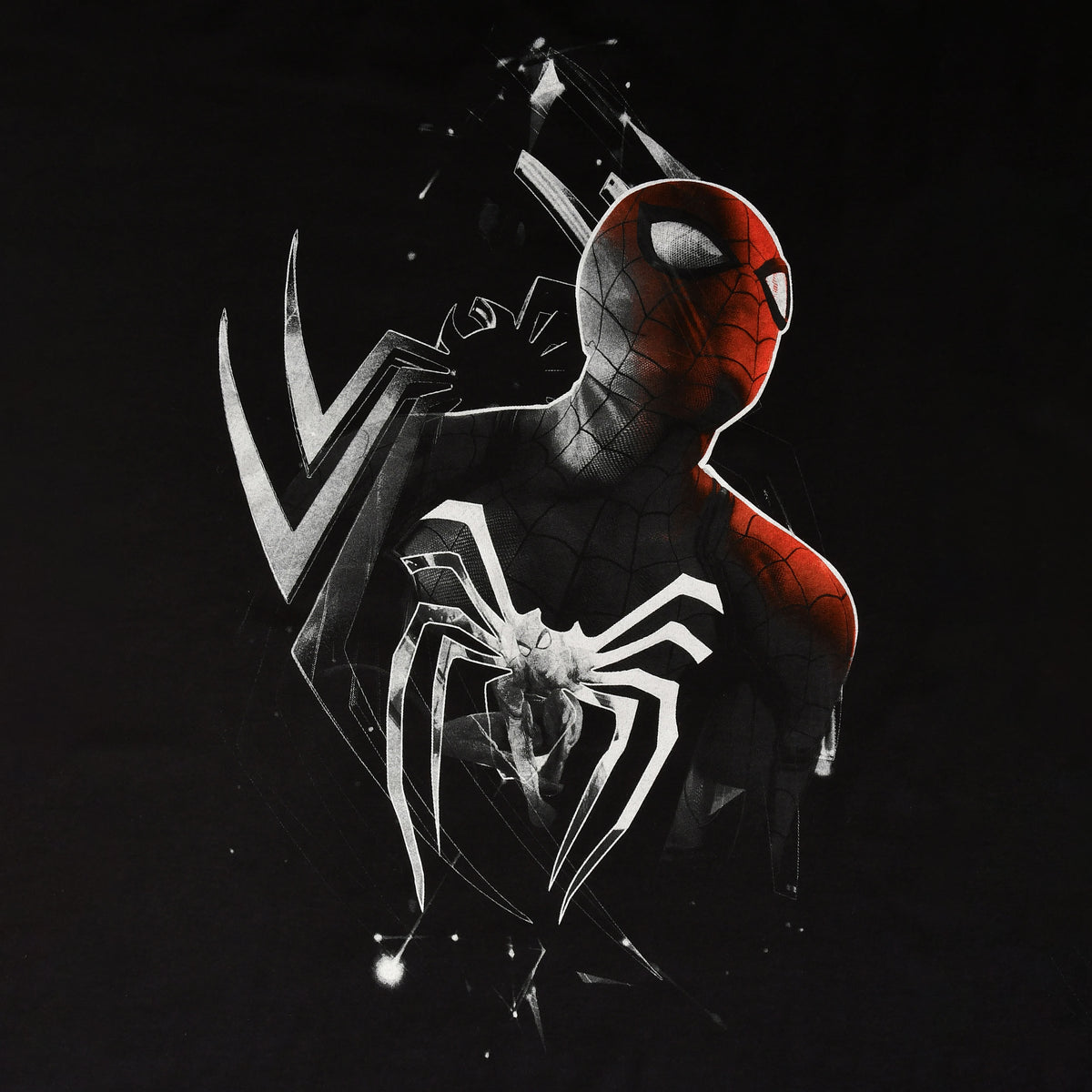 Image produit Spider-Man - T-shirt Dimension noir