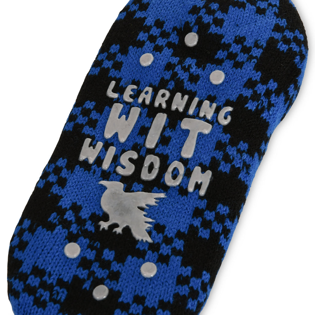 Image produit Harry Potter - Chaussons en peluche Ravenclaw