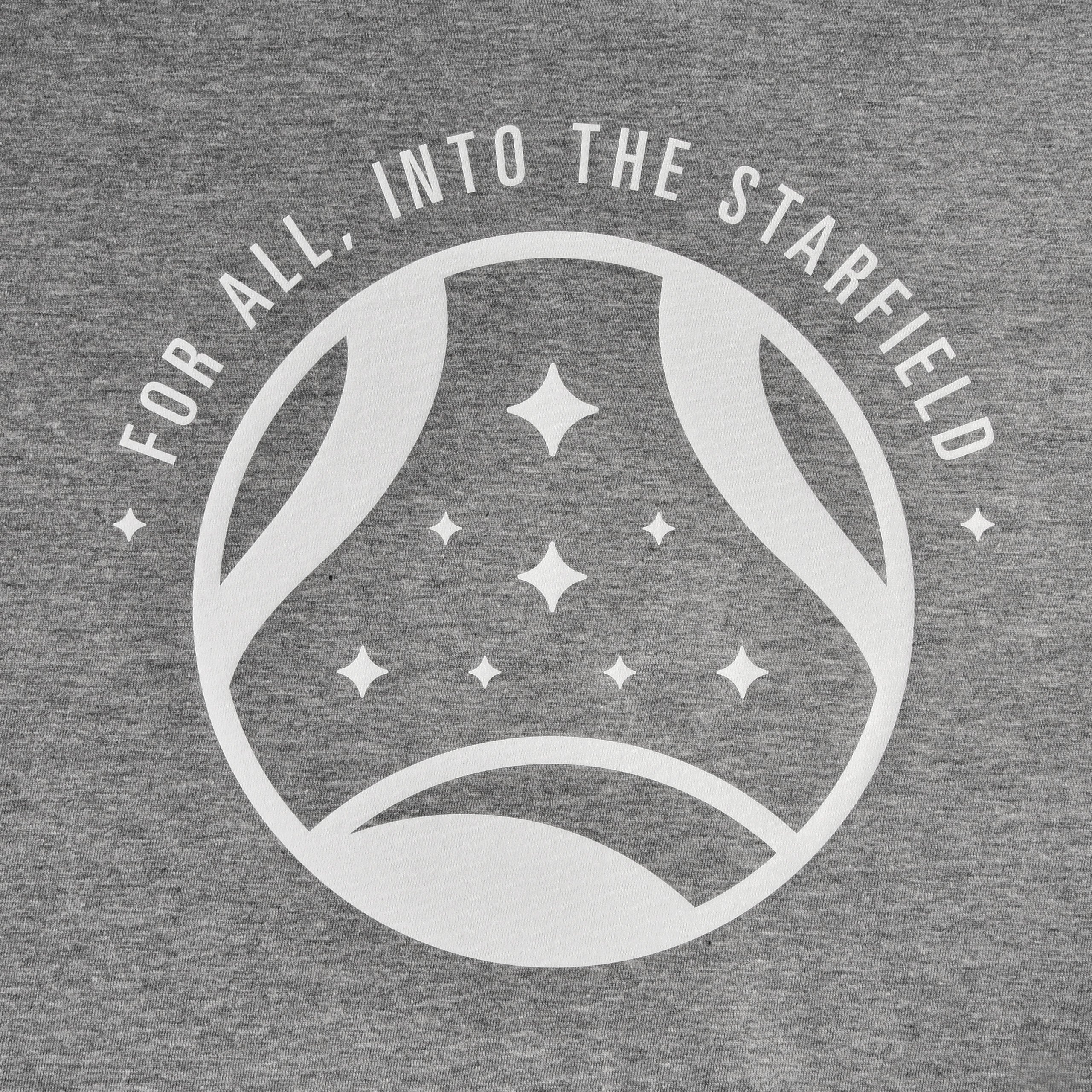 Image produit Starfield - T-shirt Into The Starfield gris