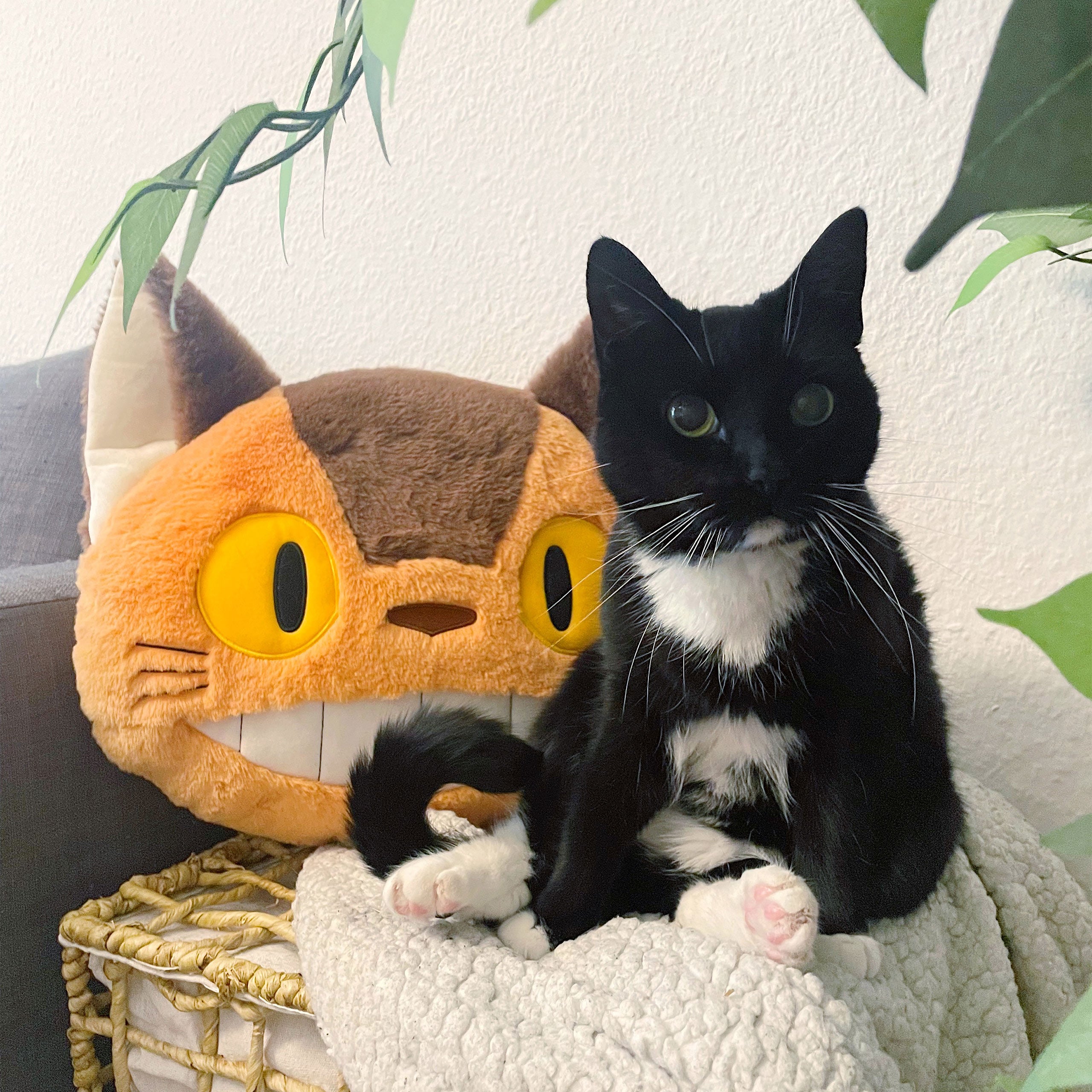 Image produit Totoro - Coussin en Peluche Catbus Nakayoshi