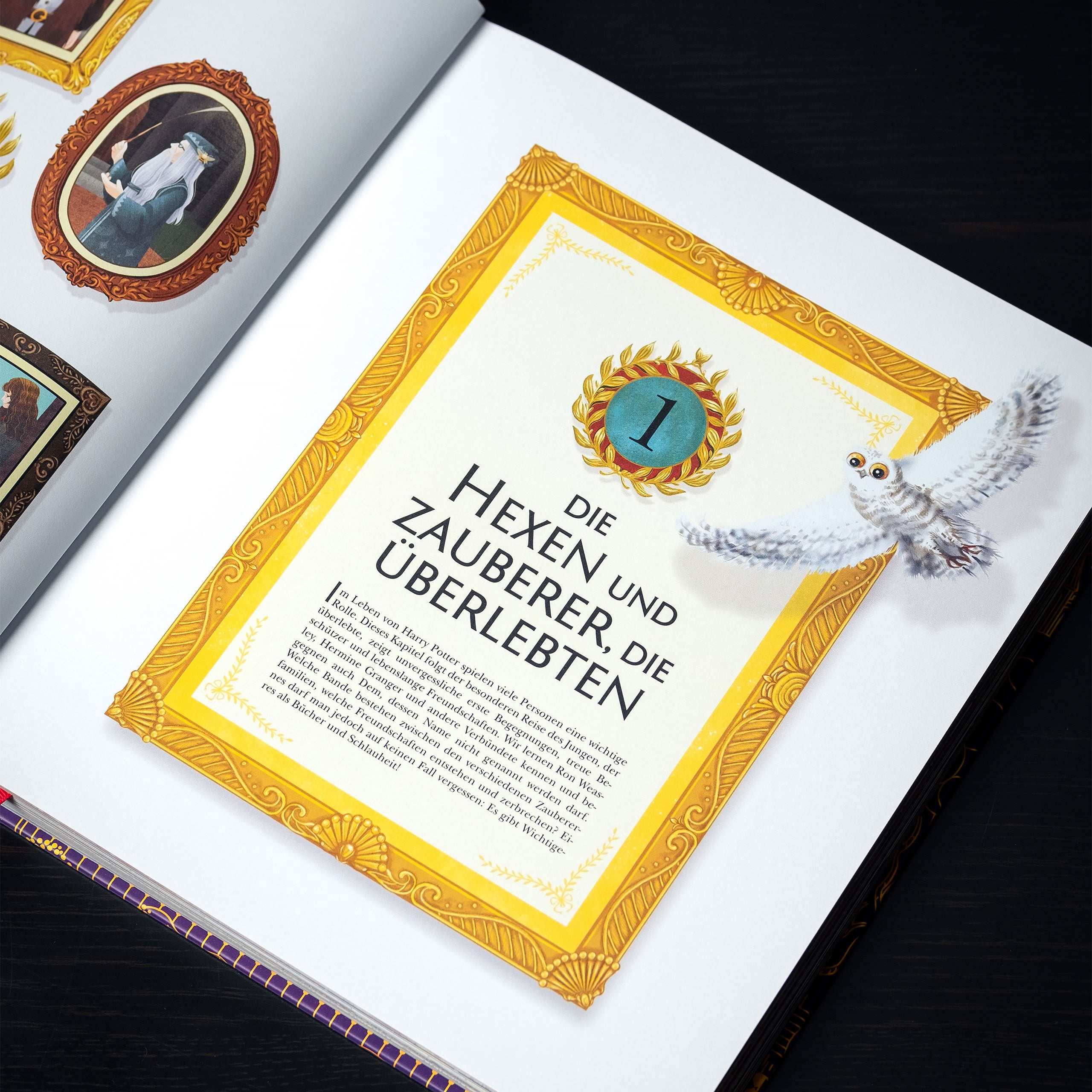 Image produit Le monde magique de Harry Potter - Le manuel officiel