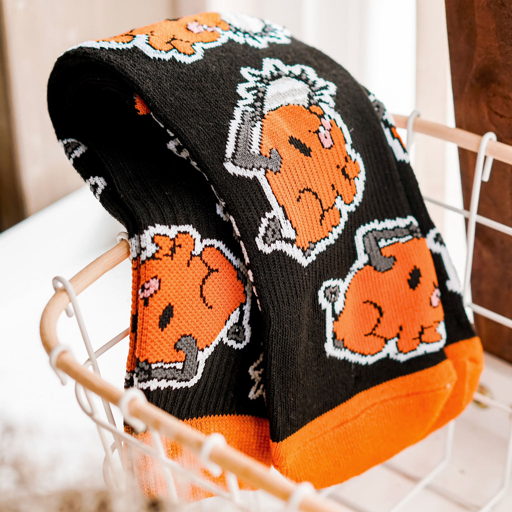 Image produit Chainsaw Man - Chaussettes Pochita