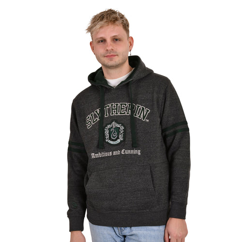 Image produit Harry Potter - Sweat à capuche premium gris armoiries Slytherin