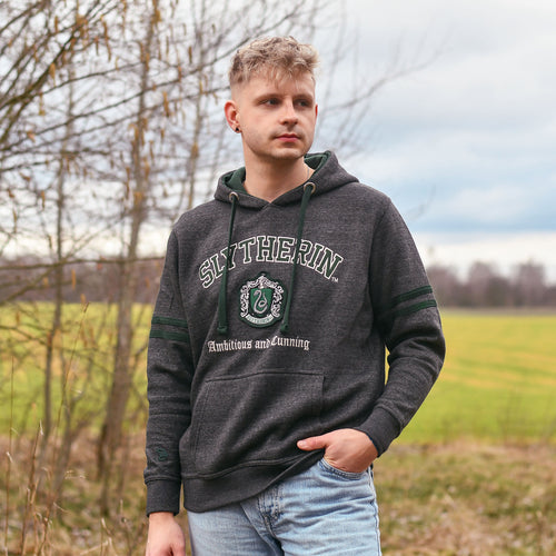 Image produit Harry Potter - Sweat à capuche premium gris armoiries Slytherin