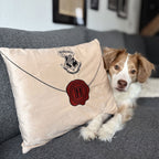 Image produit Harry Potter - Coussin Lettre de Poudlard