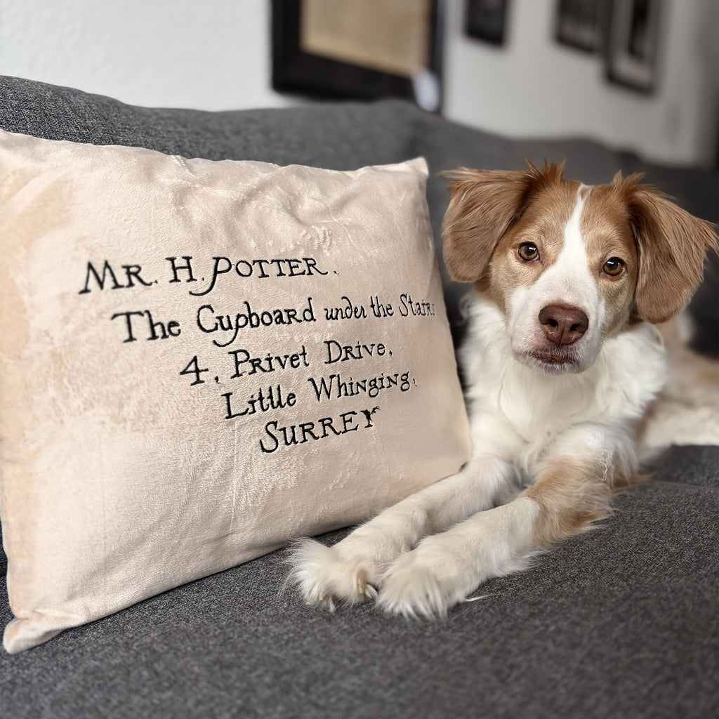 Image produit Harry Potter - Coussin Lettre de Poudlard