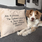 Image produit Harry Potter - Coussin Lettre de Poudlard