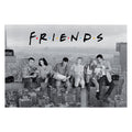 Image produit Friends - Empire Building Maxi Poster