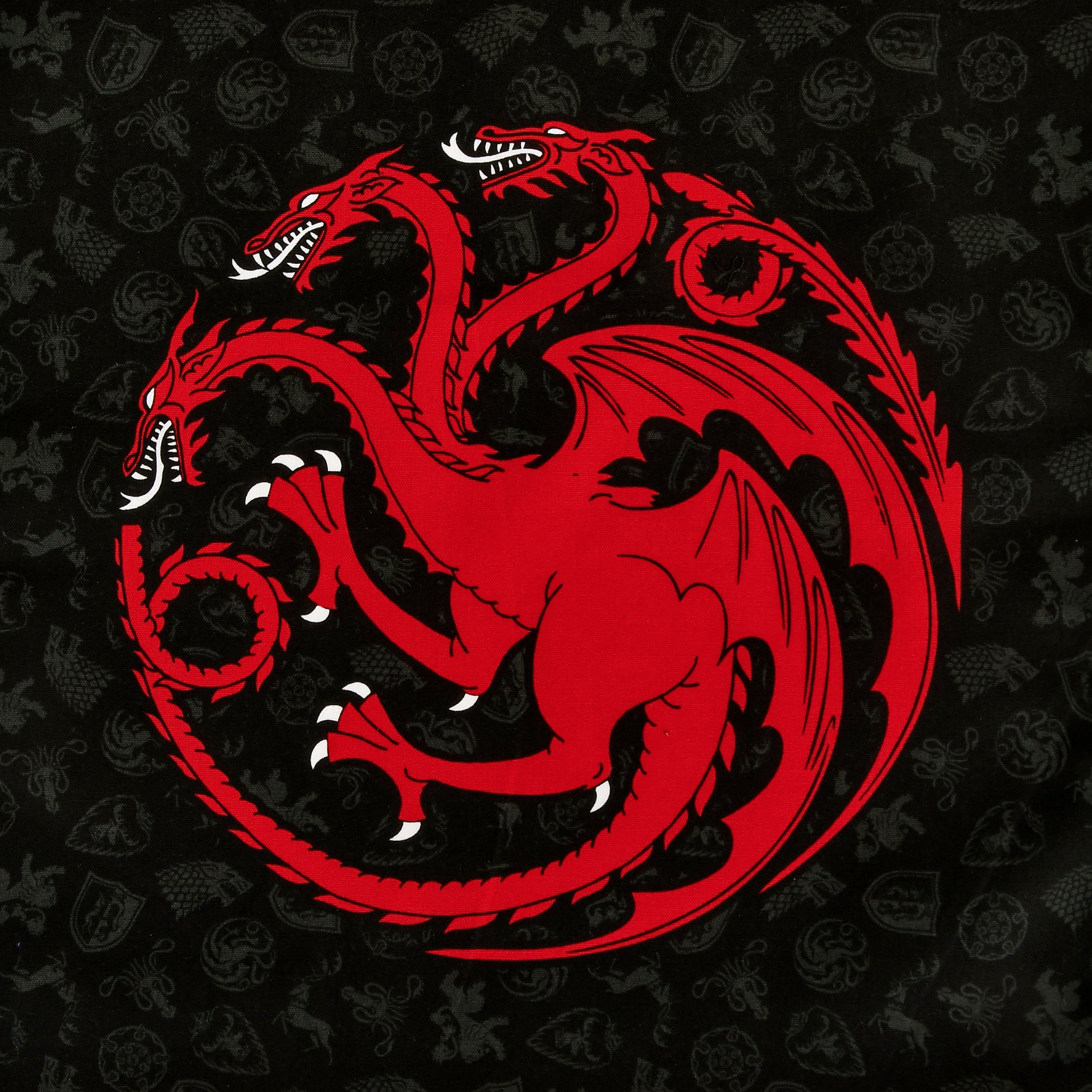 Image produit Set de torchons Stark et Targaryen - Game of Thrones