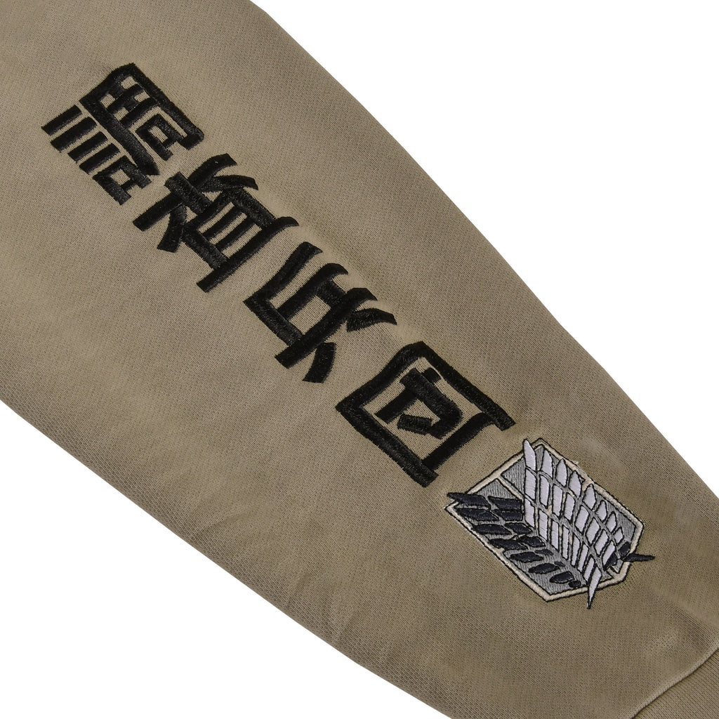 Image produit Attack on Titan - Levi Oversize Premium Hoodie