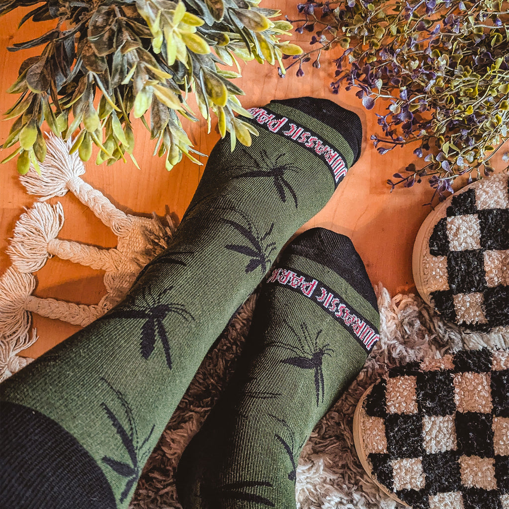 Image produit Jurassic Park - Lot de 3 paires de chaussettes