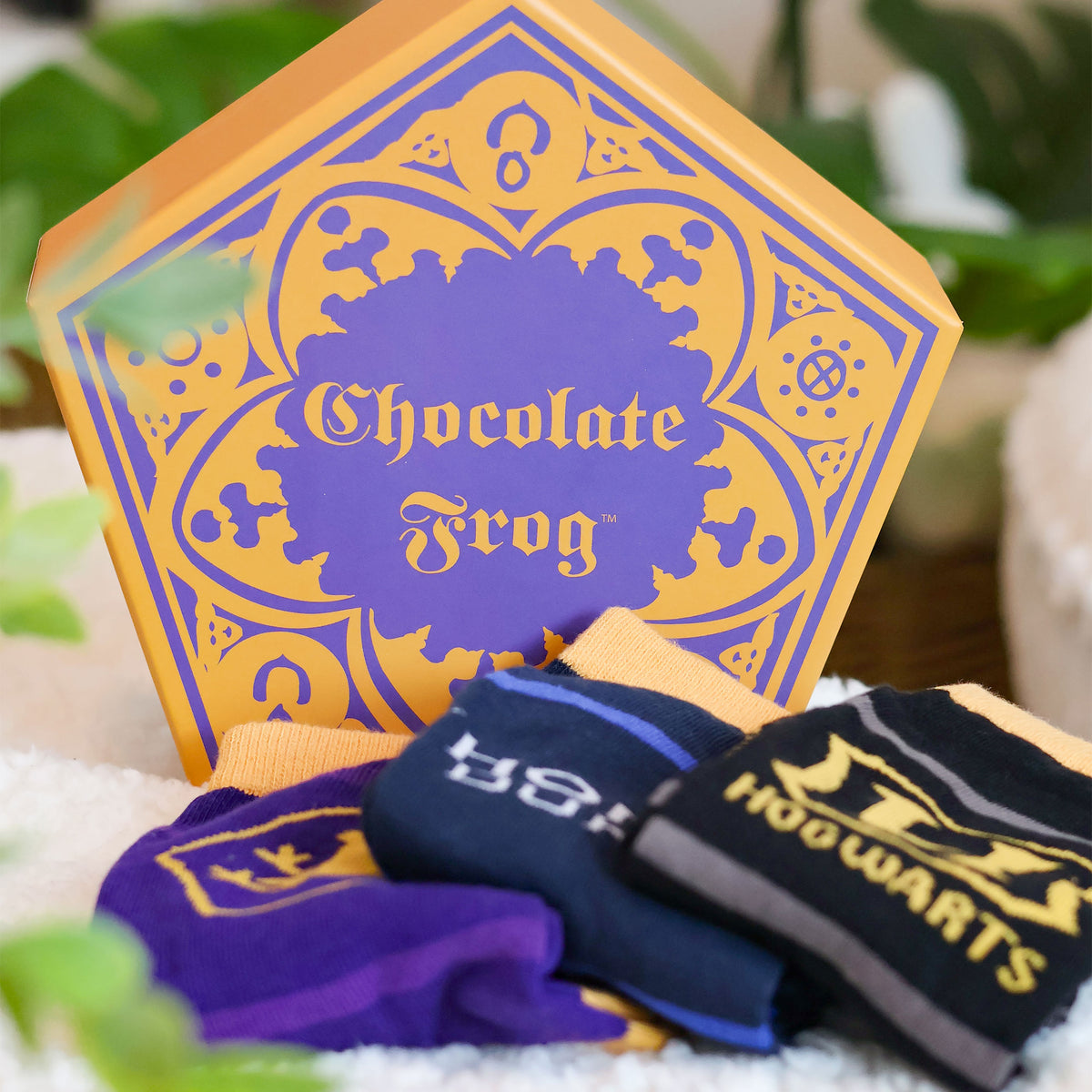 Image produit Harry Potter - Ensemble de 3 paires de chaussettes dans une boîte Grenouille en Chocolat