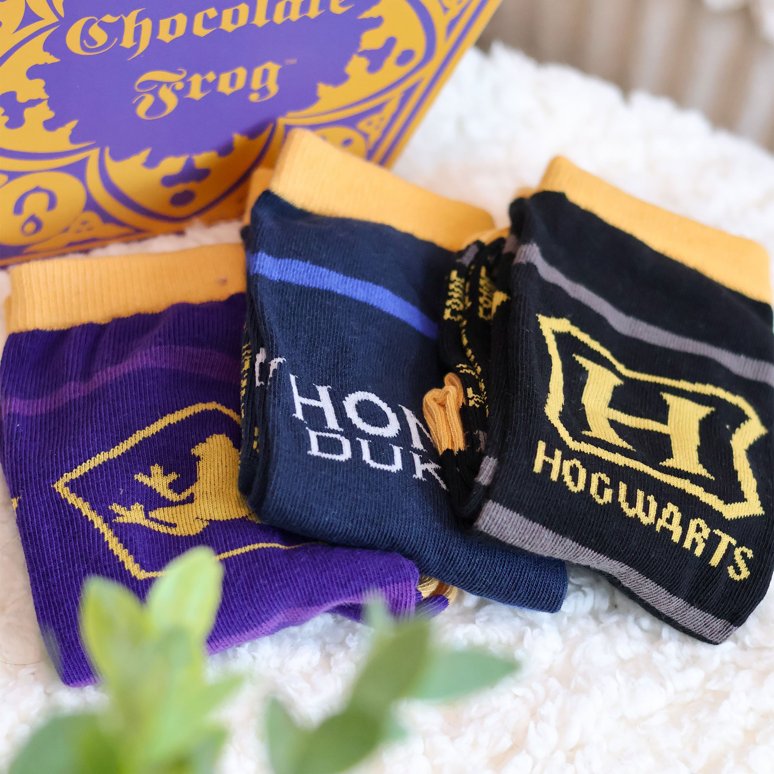 Image produit Harry Potter - Ensemble de 3 paires de chaussettes dans une boîte Grenouille en Chocolat