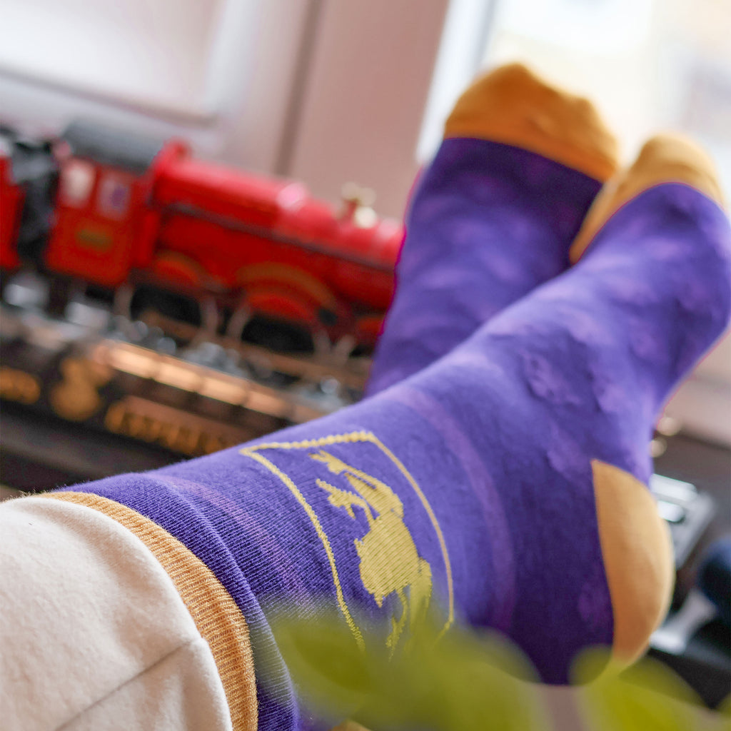 Image produit Harry Potter - Ensemble de 3 paires de chaussettes dans une boîte Grenouille en Chocolat