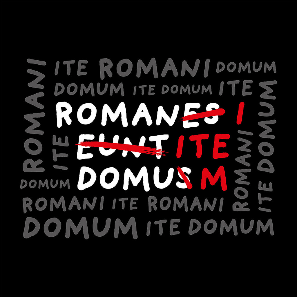 Image produit T-shirt Romani Ite Domum pour les fans de Monty Python