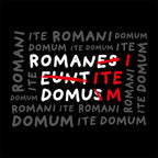 Image produit T-shirt Romani Ite Domum pour les fans de Monty Python