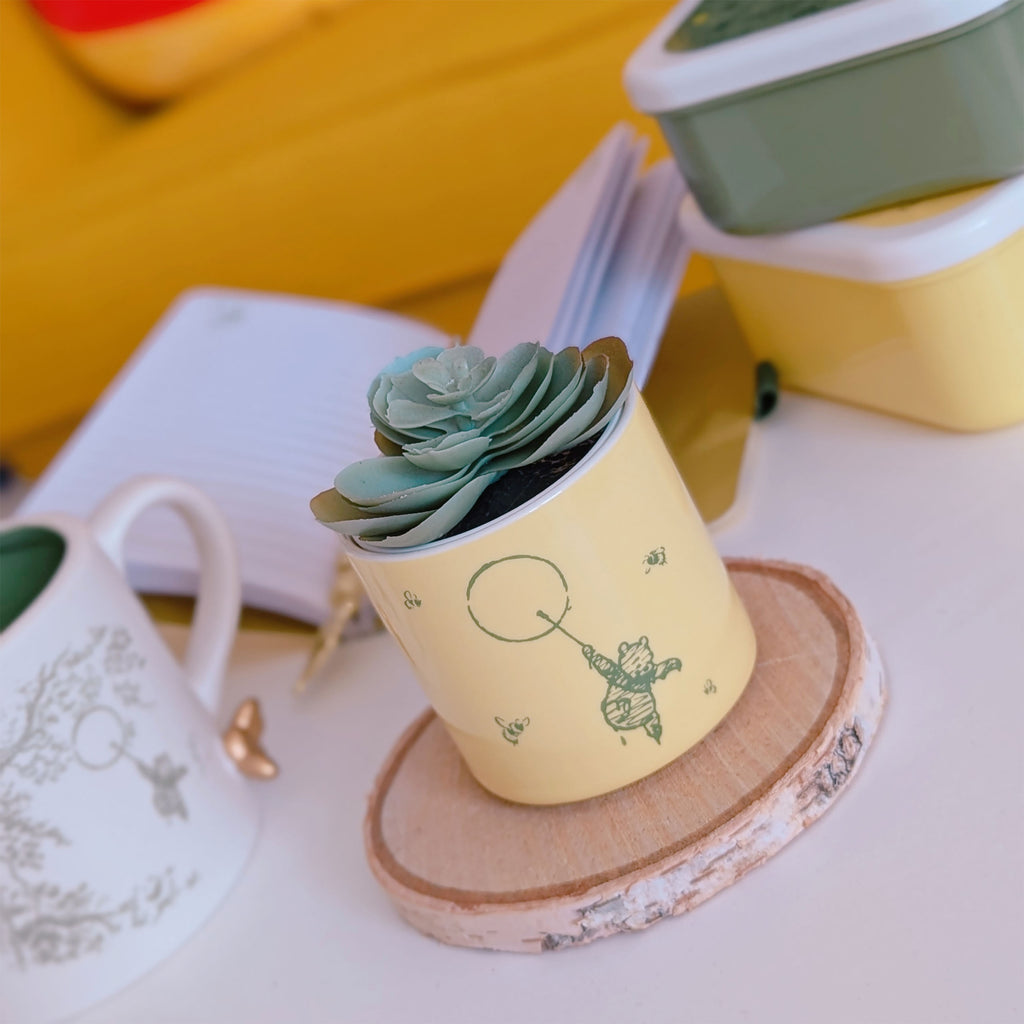 Image produit Winnie l'Ourson - Mini Pot de Fleur