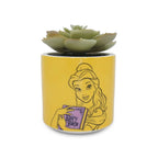 Image produit La Belle et la Bête - Pot de fleurs Belle