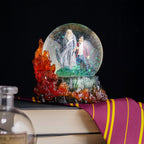 Product image Harry Potter with Dumbledore Snow Globe