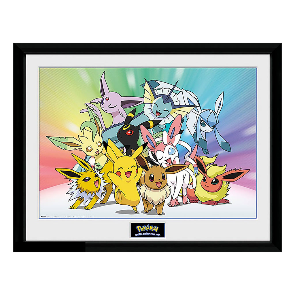 Image produit Pokemon - Tableau de caractère