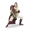 Image produit Star Wars: The Acolyte - Jedi Master Indara Figurine d'action de la série Black