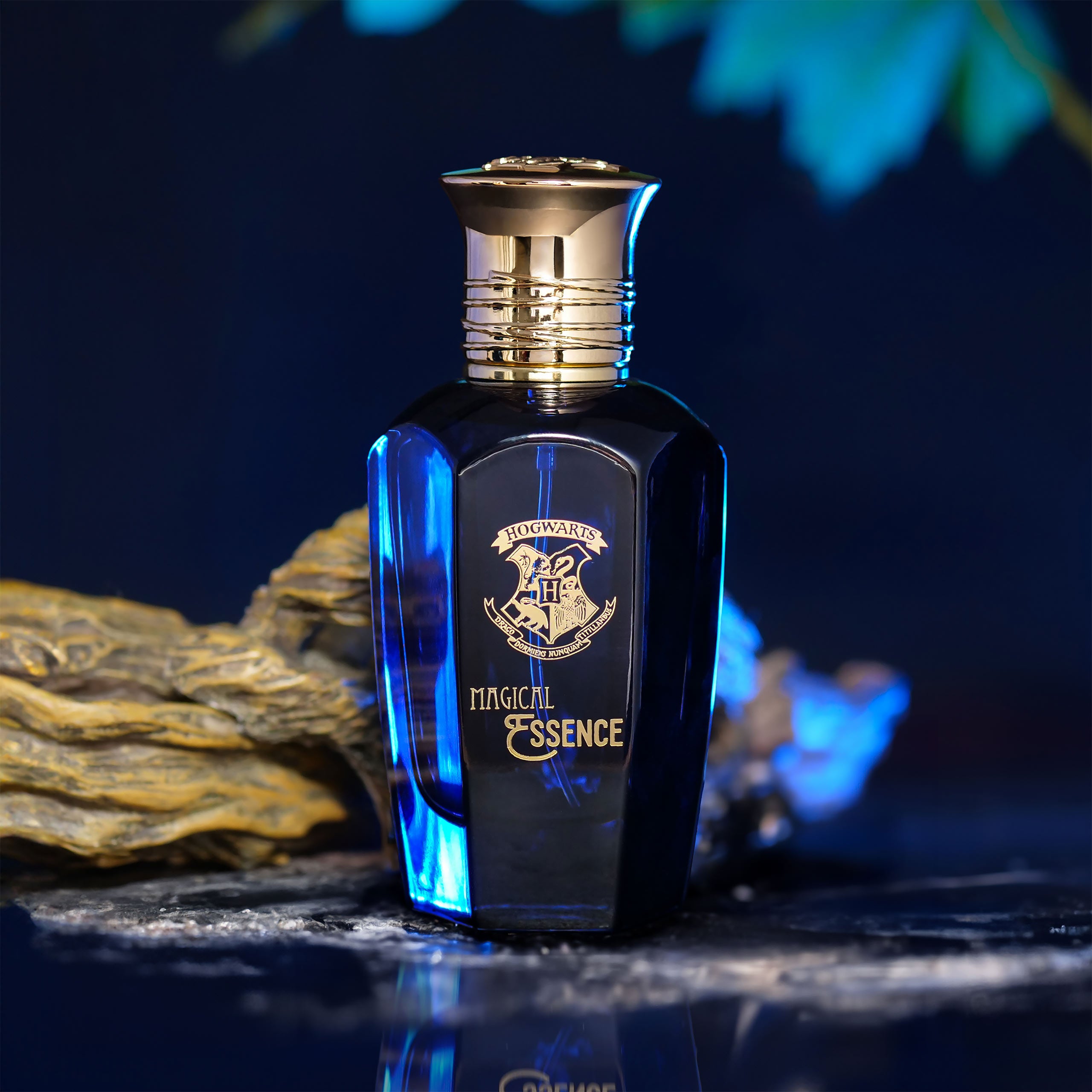 Image produit Harry Potter - Magical Essence Wisdom Eau de Parfum