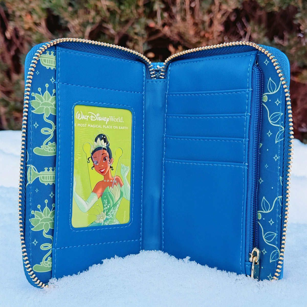 Image produit Embrasse la Grenouille - Portefeuille Tiana Phosphorescent