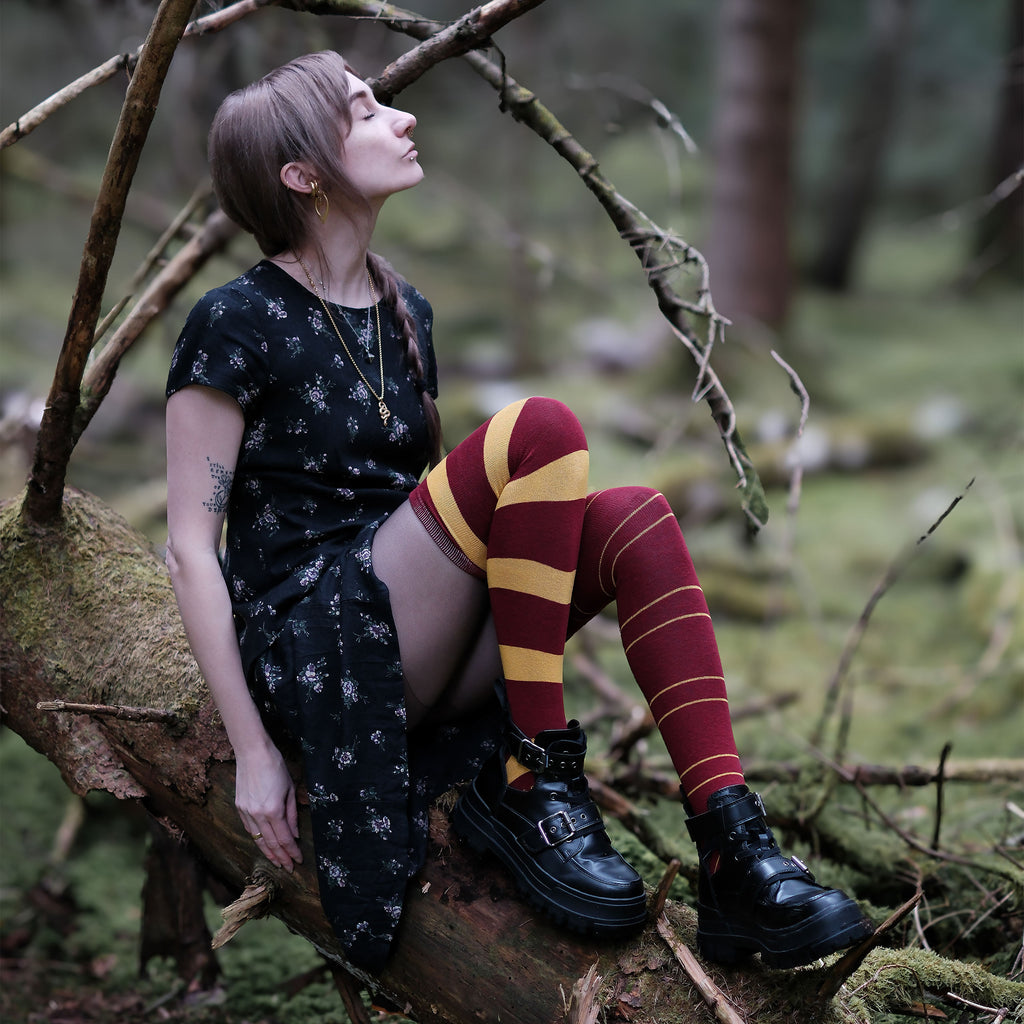 Image produit Harry Potter - Chaussettes hautes Gryffondor (lot de 2)