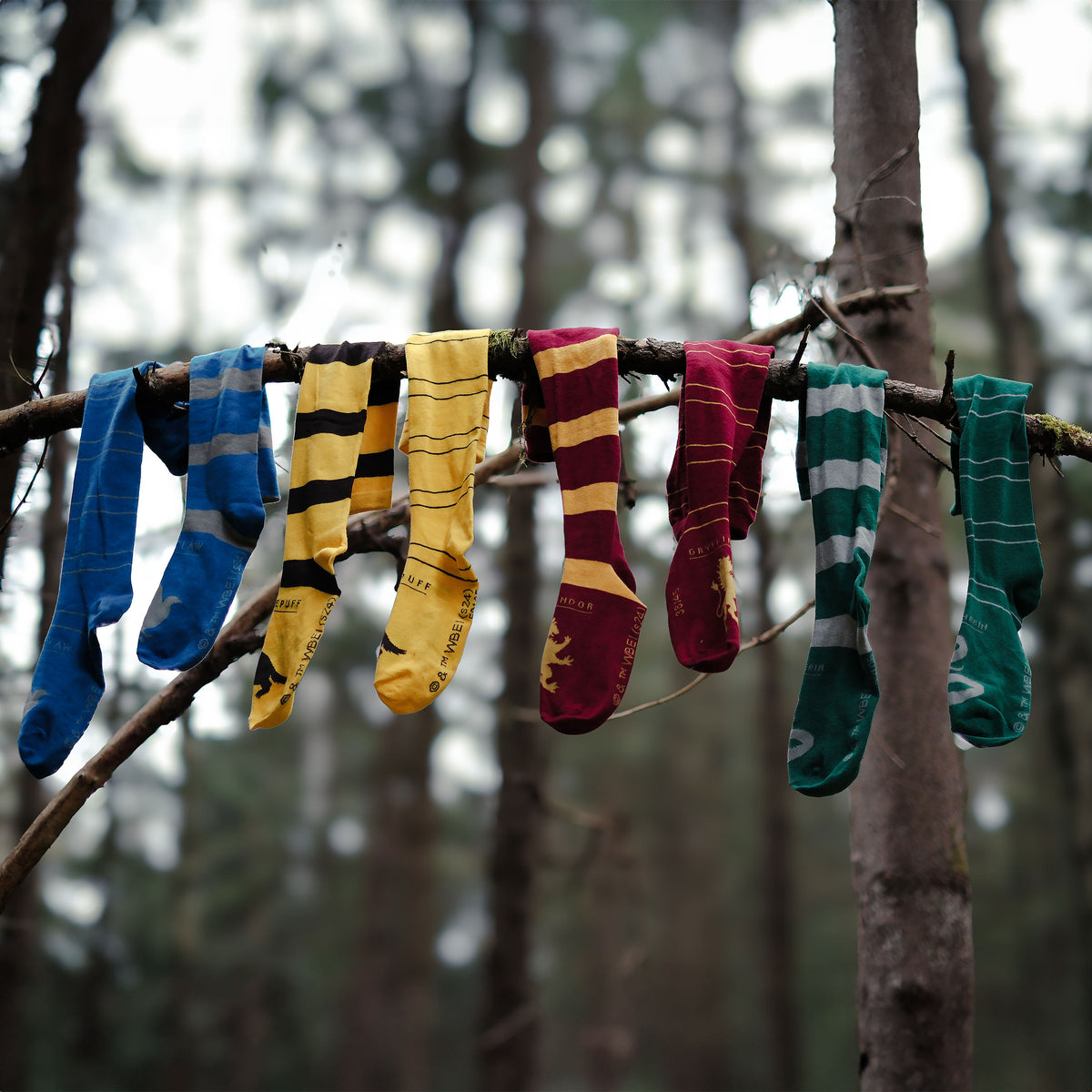Image produit Harry Potter - Chaussettes hautes Gryffondor (lot de 2)