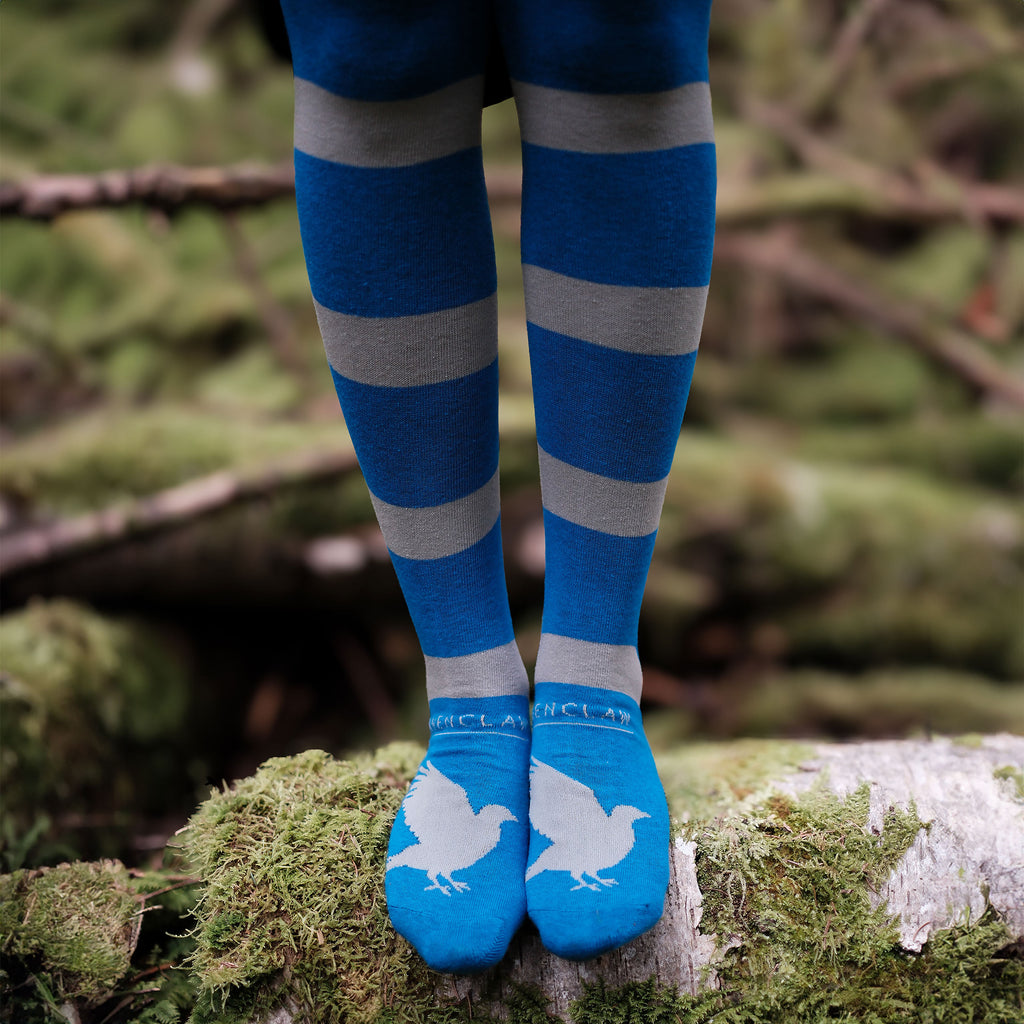 Image produit Harry Potter - Chaussettes hautes Serdaigle (Lot de 2)