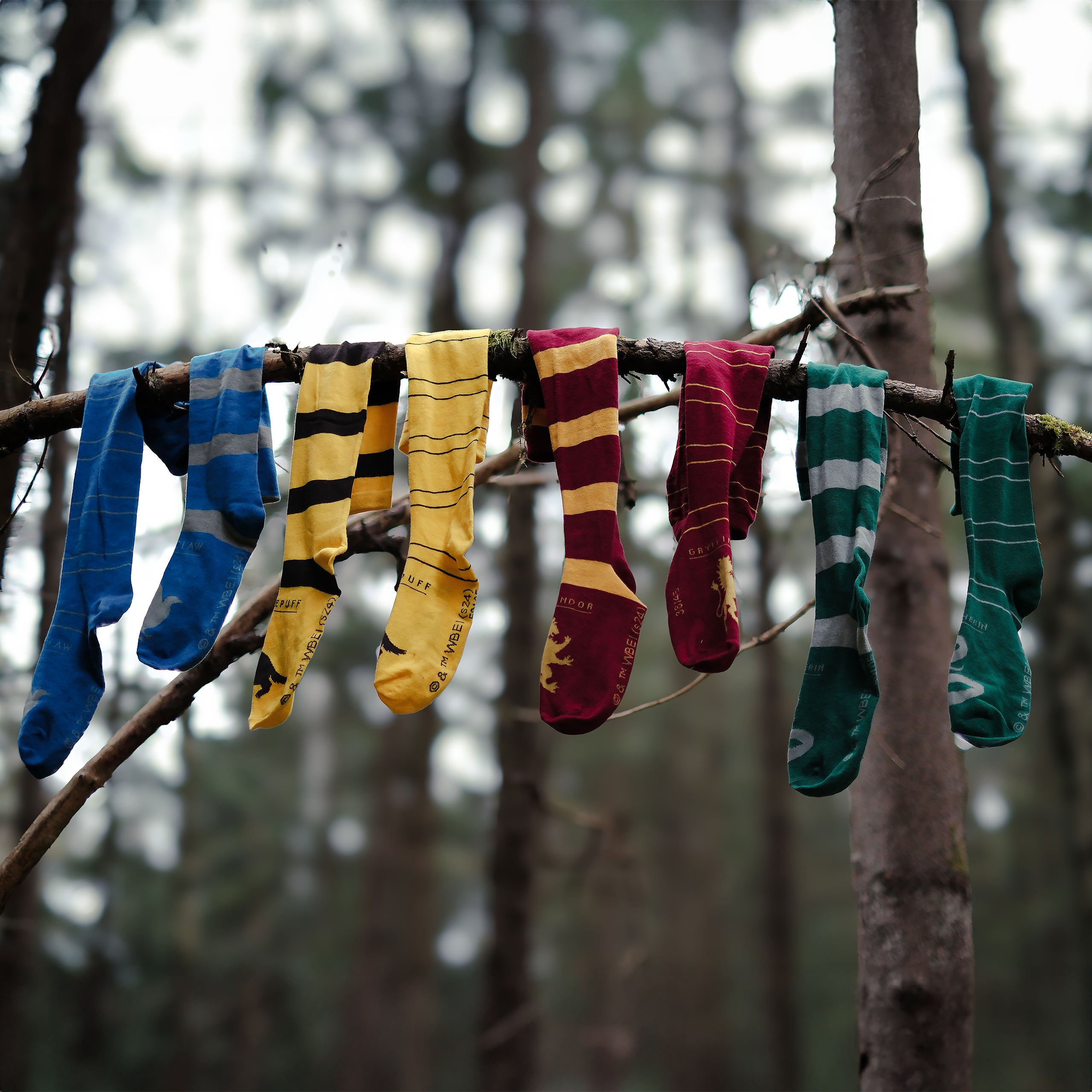 Image produit Harry Potter - Chaussettes hautes Serdaigle (Lot de 2)