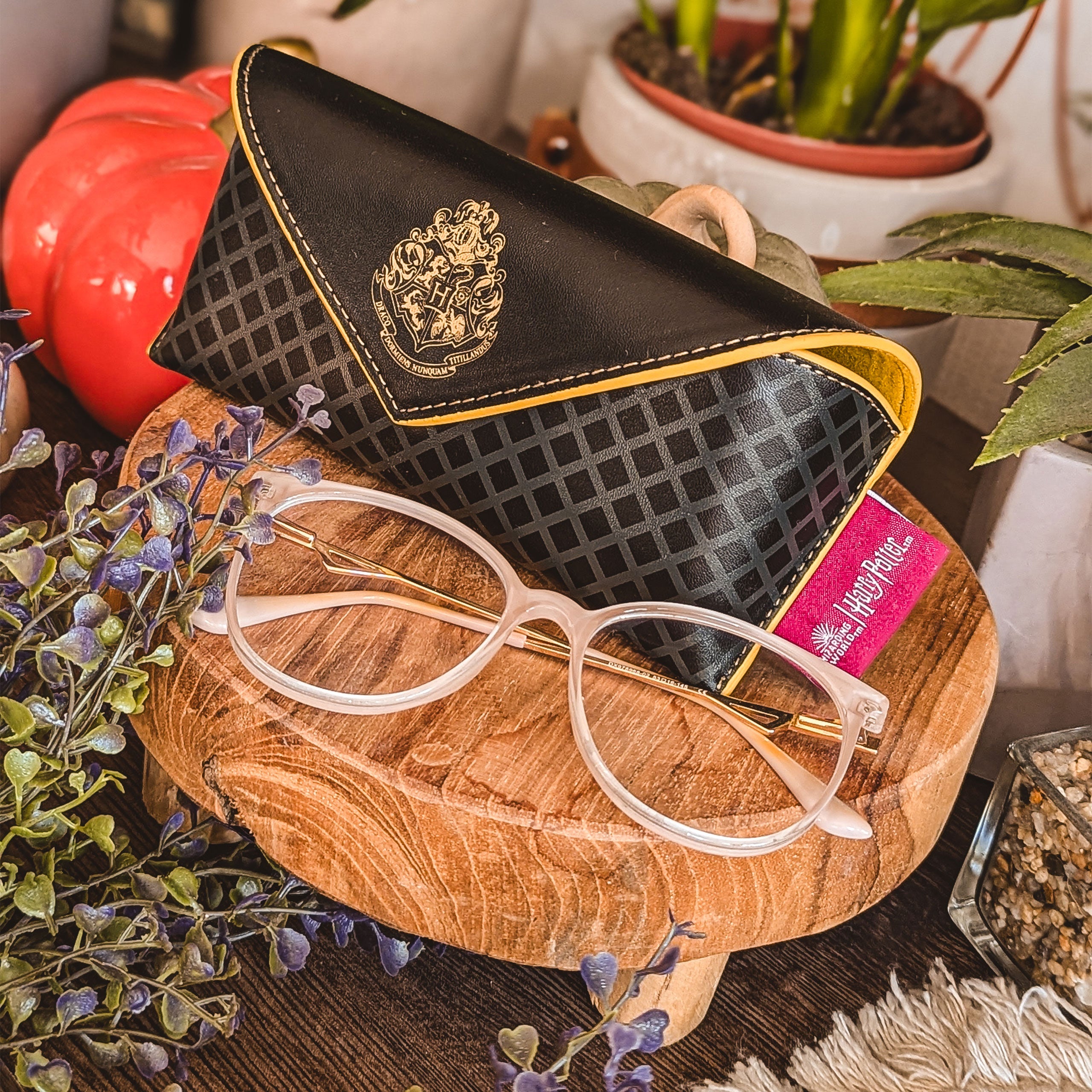 Image produit Harry Potter - Étui à lunettes noir avec blason de Poudlard