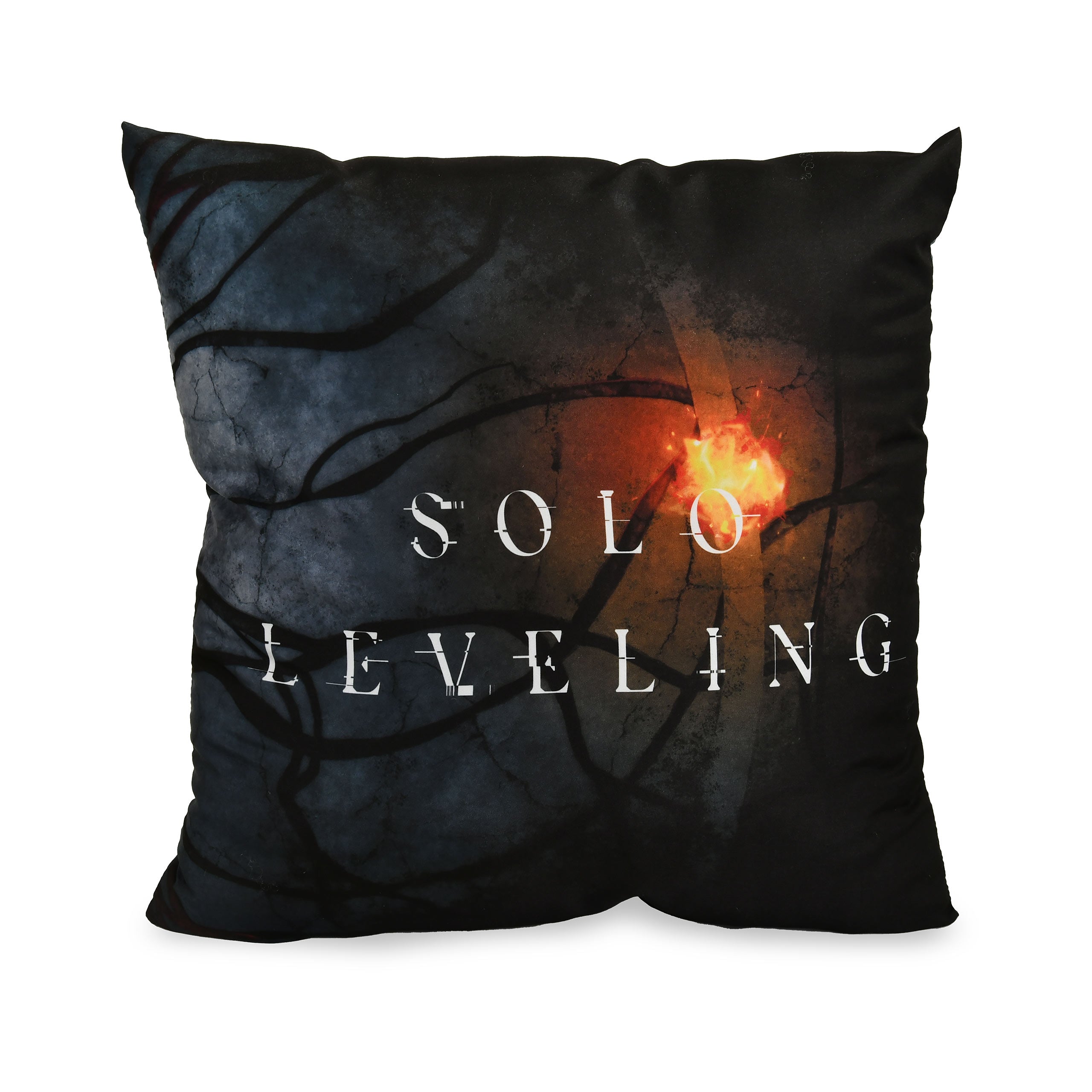 Image produit Solo Leveling - Coussin