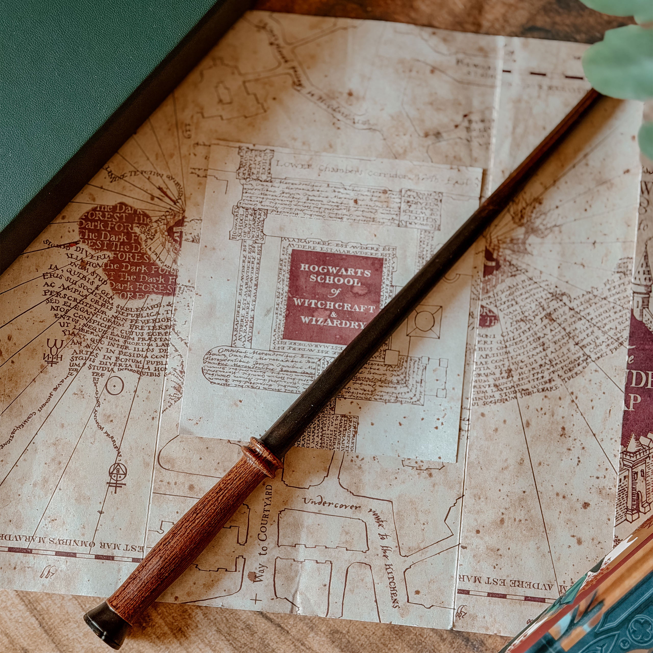 Image produit La première baguette de Harry - Harry Potter First Wands Collection