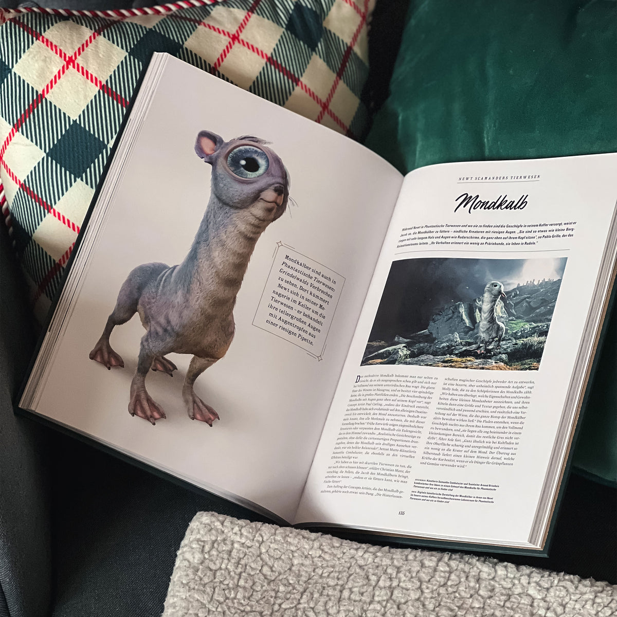 Image produit Harry Potter - QUI EST QUI - Les créatures magiques du monde des sorciers