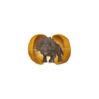 Image produit Jurassic Park - Figurine Mystère Funko Pocket Pop