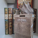 Image produit Harry Potter - Banque Gringotts avec Dragon Tirelire