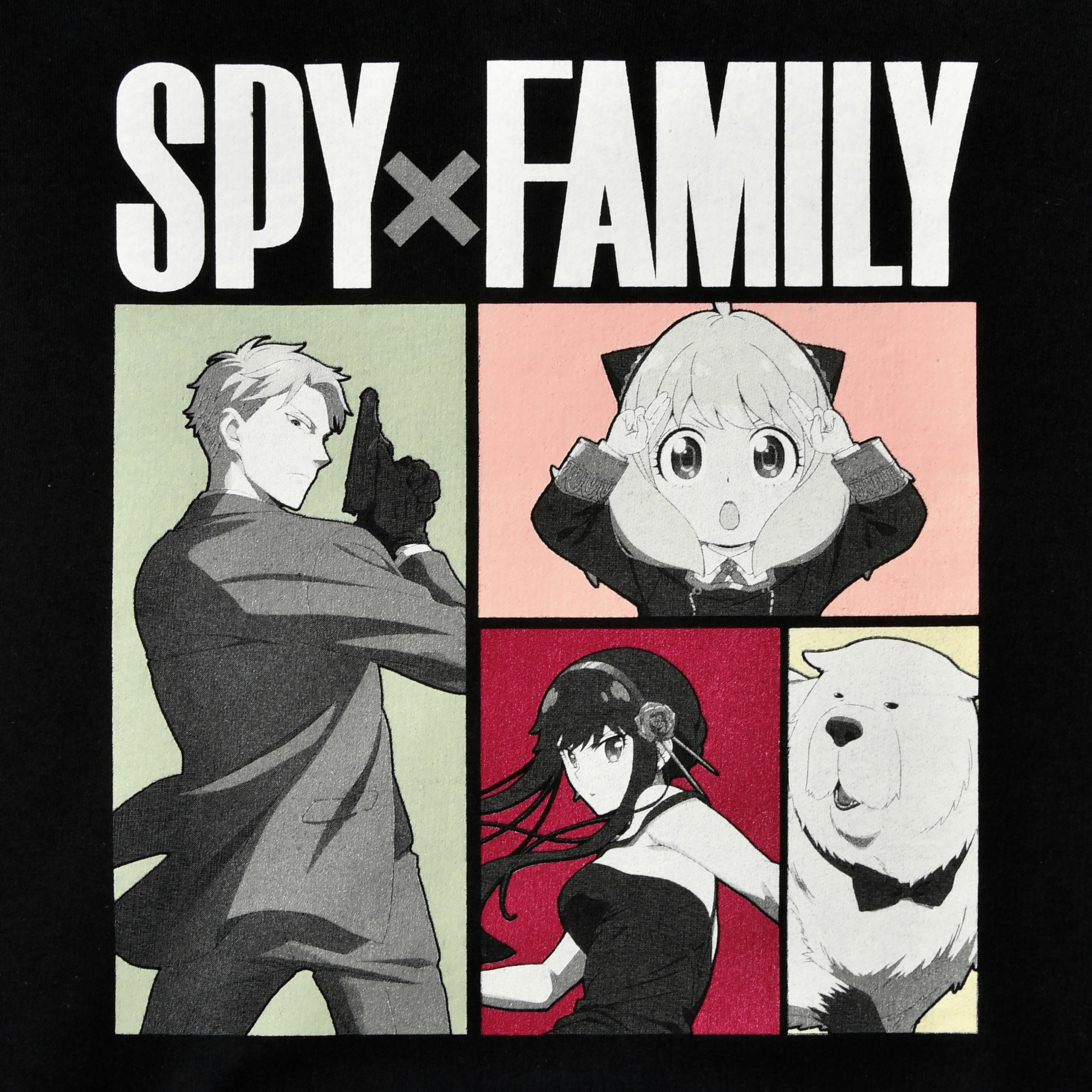 Image produit Spy x Family - Sweat à capuche Family Forger