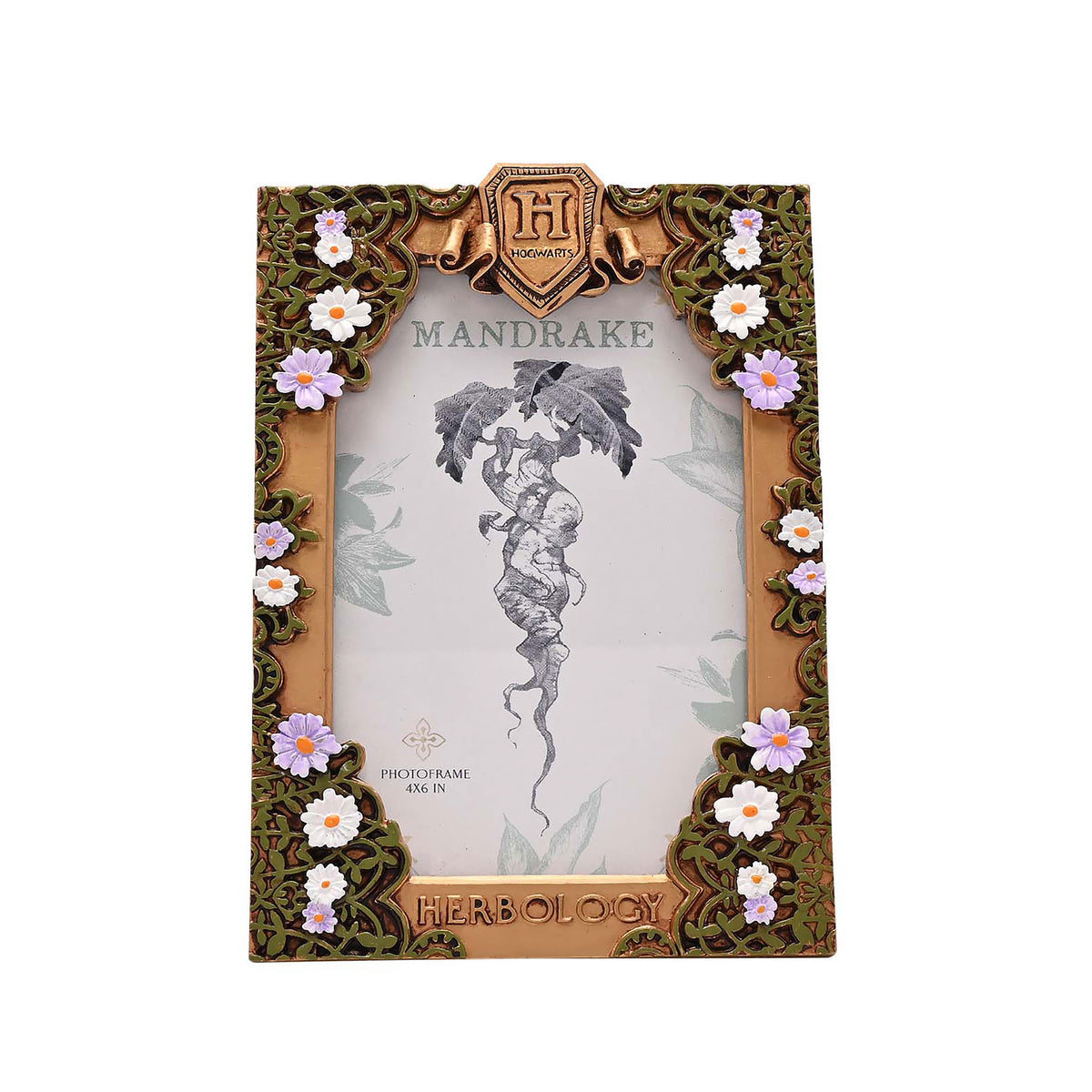 Image produit Harry Potter - Cadre photo Herboristerie