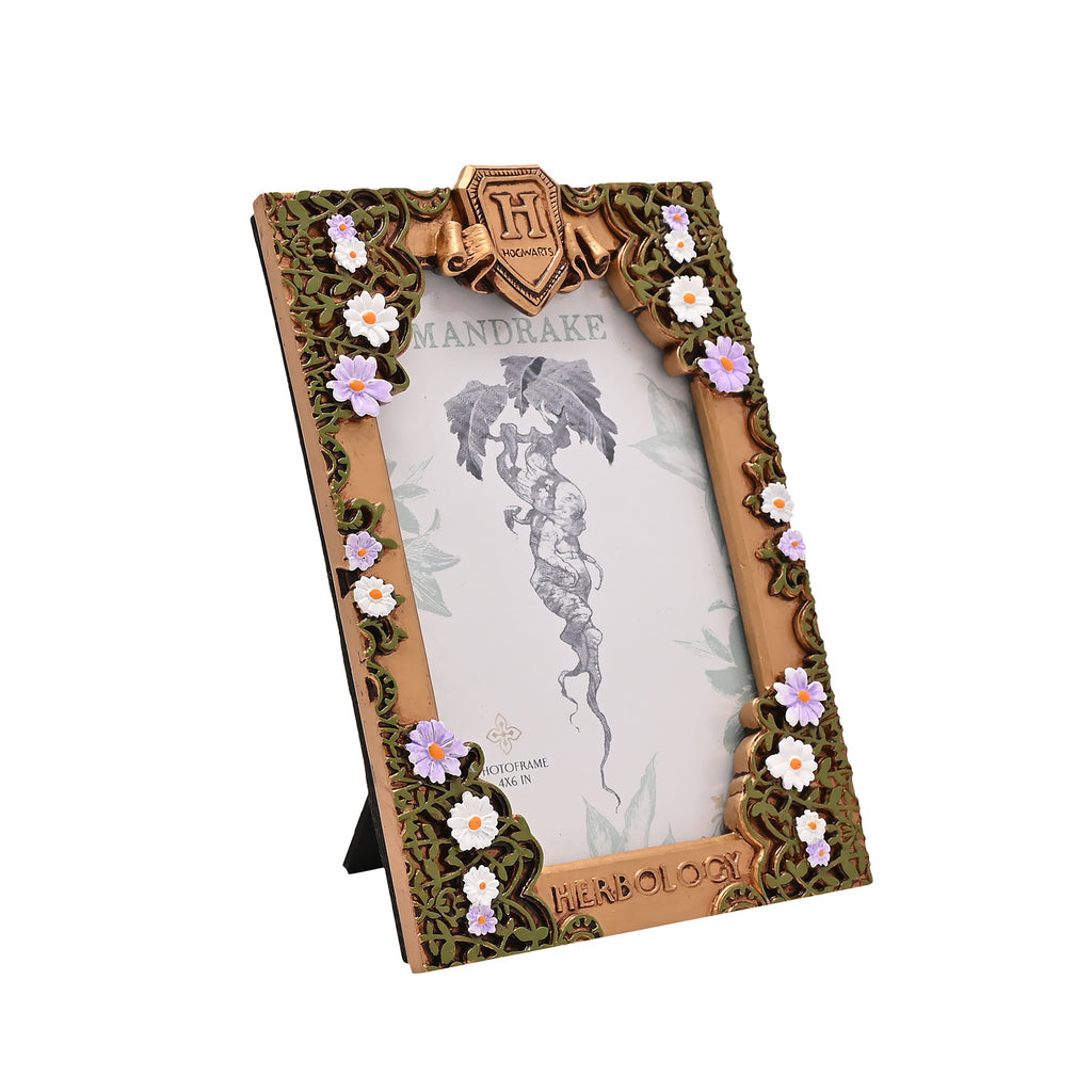 Image produit Harry Potter - Cadre photo Herboristerie