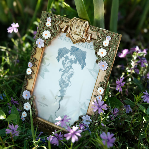 Image produit Harry Potter - Cadre photo Herboristerie