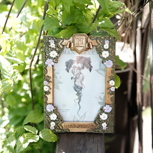 Image produit Harry Potter - Cadre photo Herboristerie