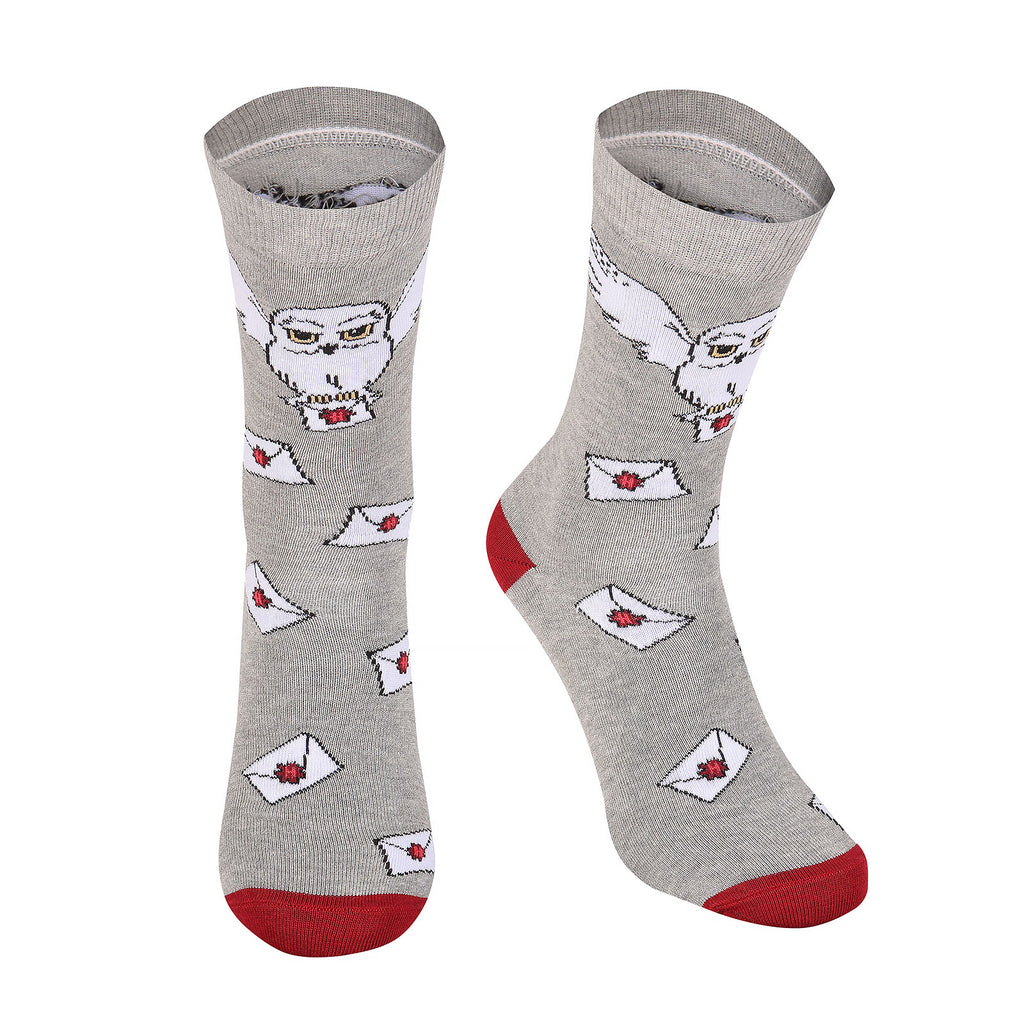 Image produit Harry Potter - Chaussettes Lettre de Poudlard