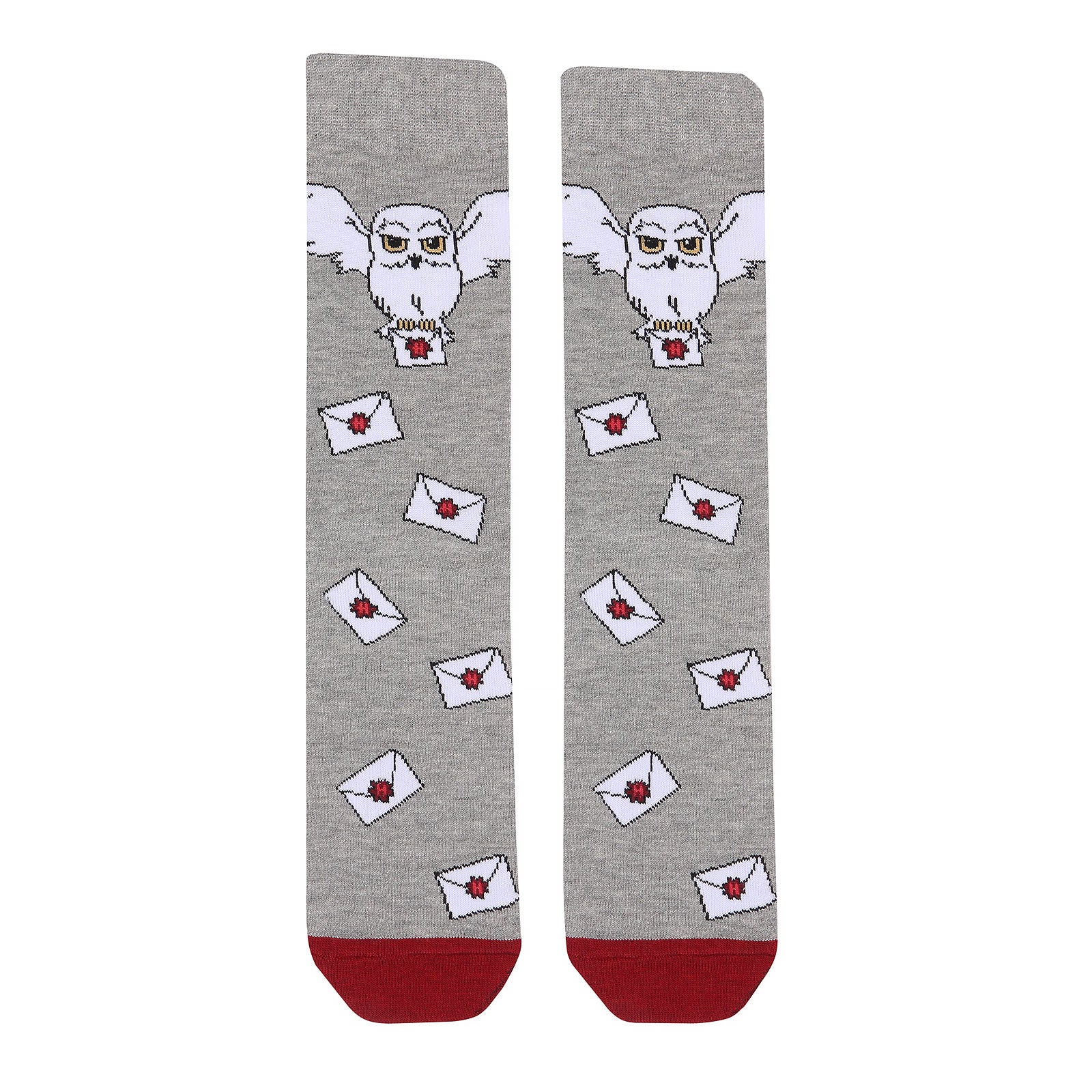 Image produit Harry Potter - Chaussettes Lettre de Poudlard