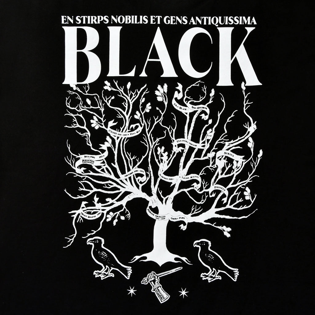 Image produit Harry Potter - T-shirt House of Black noir