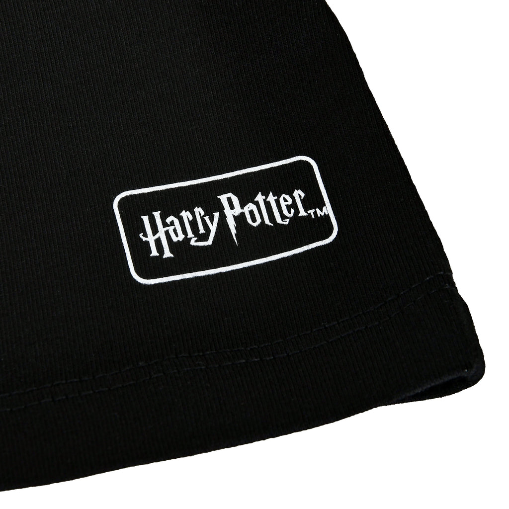 Image produit Harry Potter - T-shirt House of Black noir