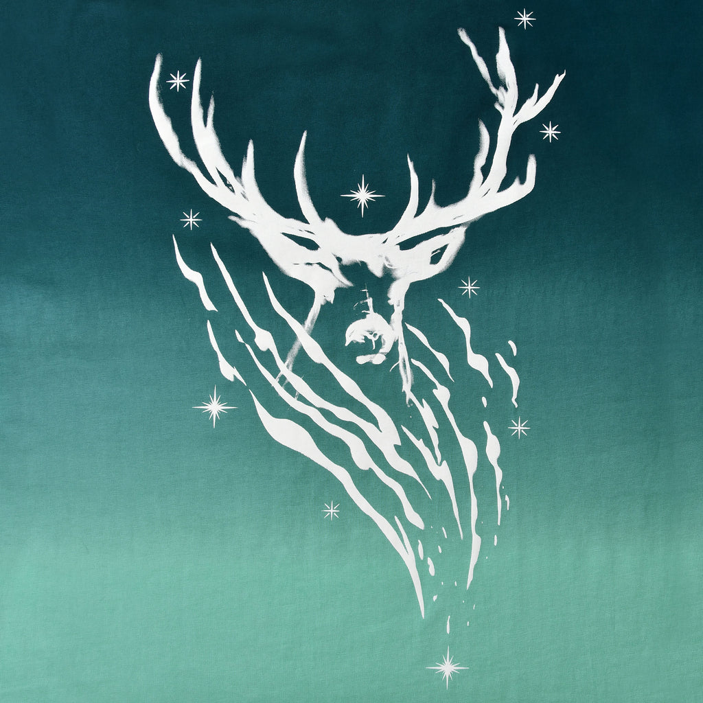 Image produit Harry Potter - T-shirt Expecto Patronum